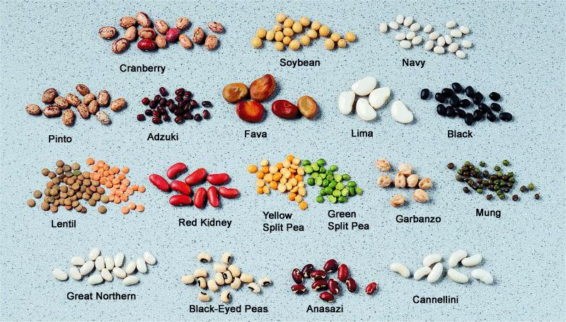 types of white beans
