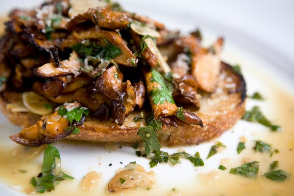 Chanterelle Mushroom Recipes